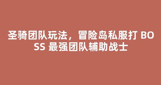 圣骑团队玩法，冒险岛私服打 BOSS 最强团队辅助战士